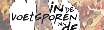 grafiek jongeren met een beperking